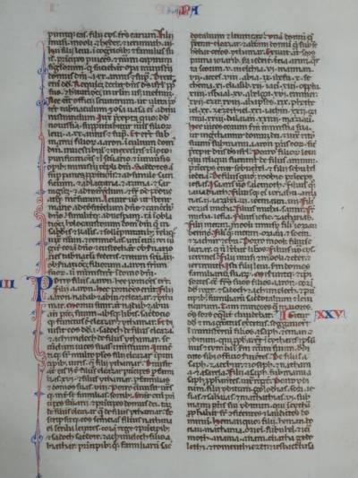 bible_catawiki_13es_fragment.jpg