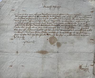 yolande_marnix_1480.jpeg yolande_marnix_1480.jpeg